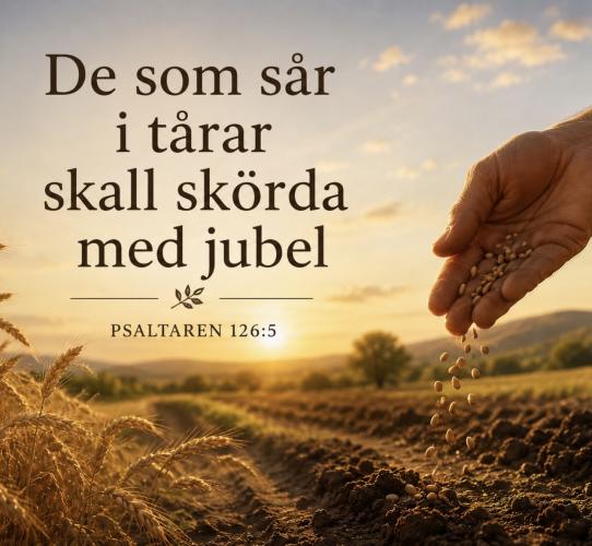 No picture